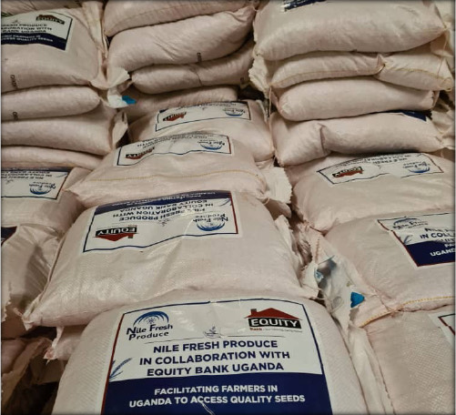 Seed sacks printed ‘Nile Fresh Produce in collaboration with Equity Bank Uganda’