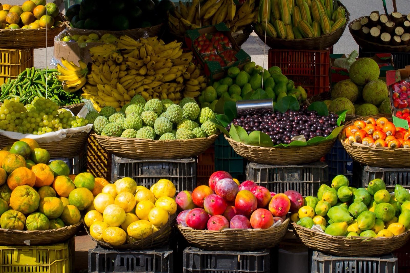 Fresh fruit on sale at a market